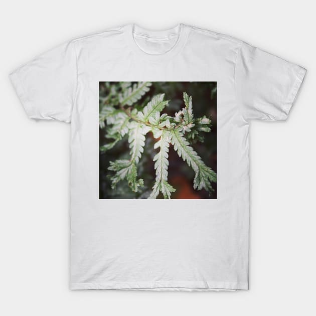 Spiky fern T-Shirt by Jonesyinc